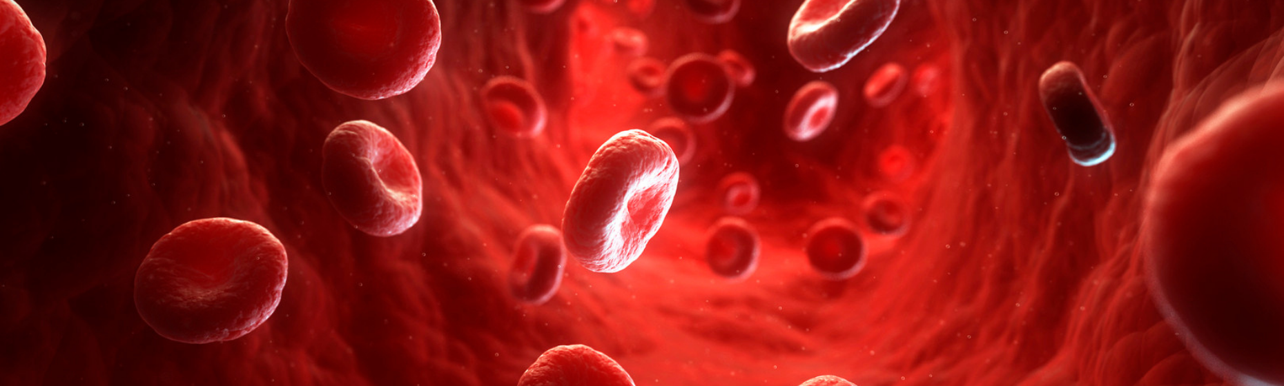 Blood Flow Graphic