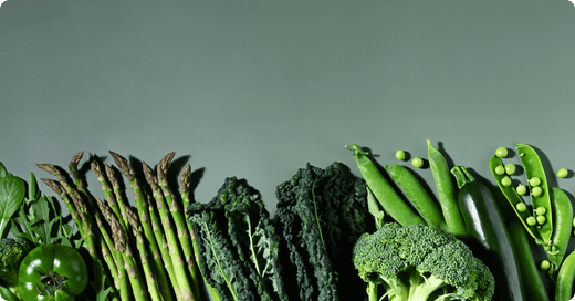 3. The Power of Diet & Nutrition