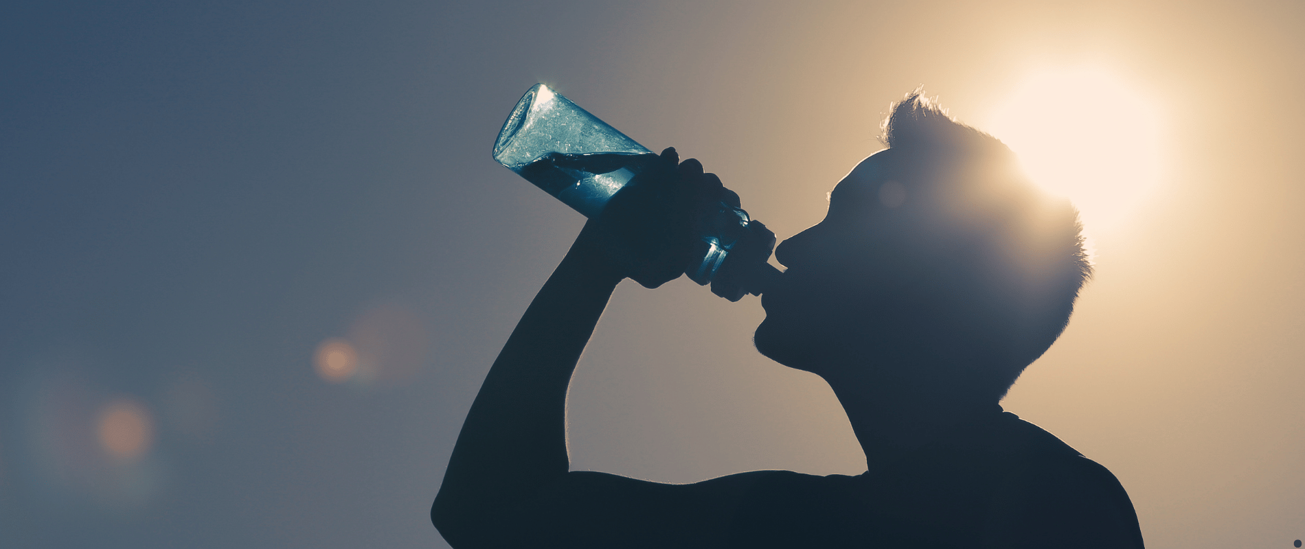 2. The Power of Hydration