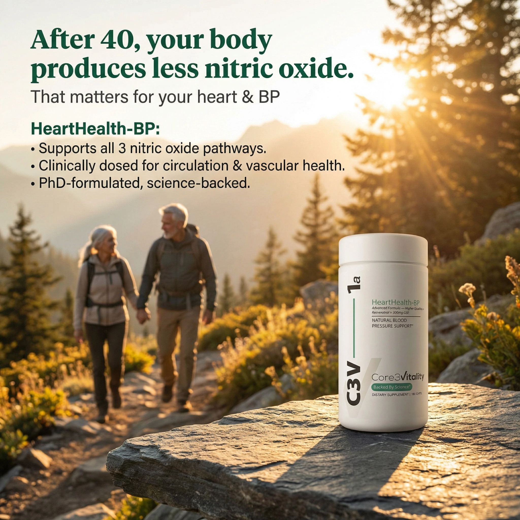 HeartHealth-BP v2
